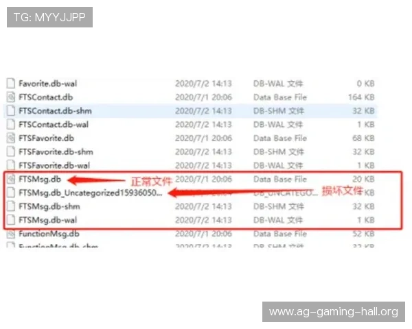 AG贵宾厅登录线路故障排查指南帮助玩家快速恢复正常访问